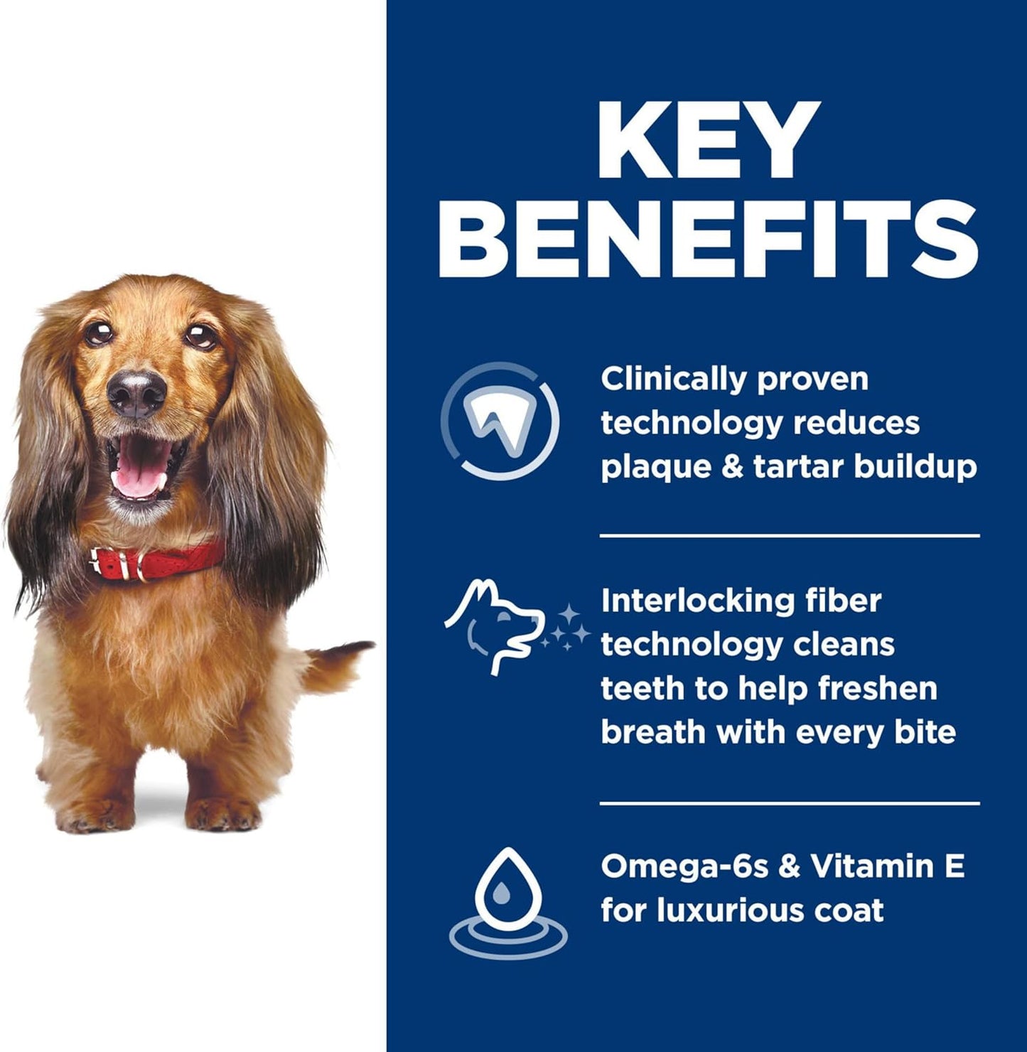 DentalCare Chicken & Rice Dog Food