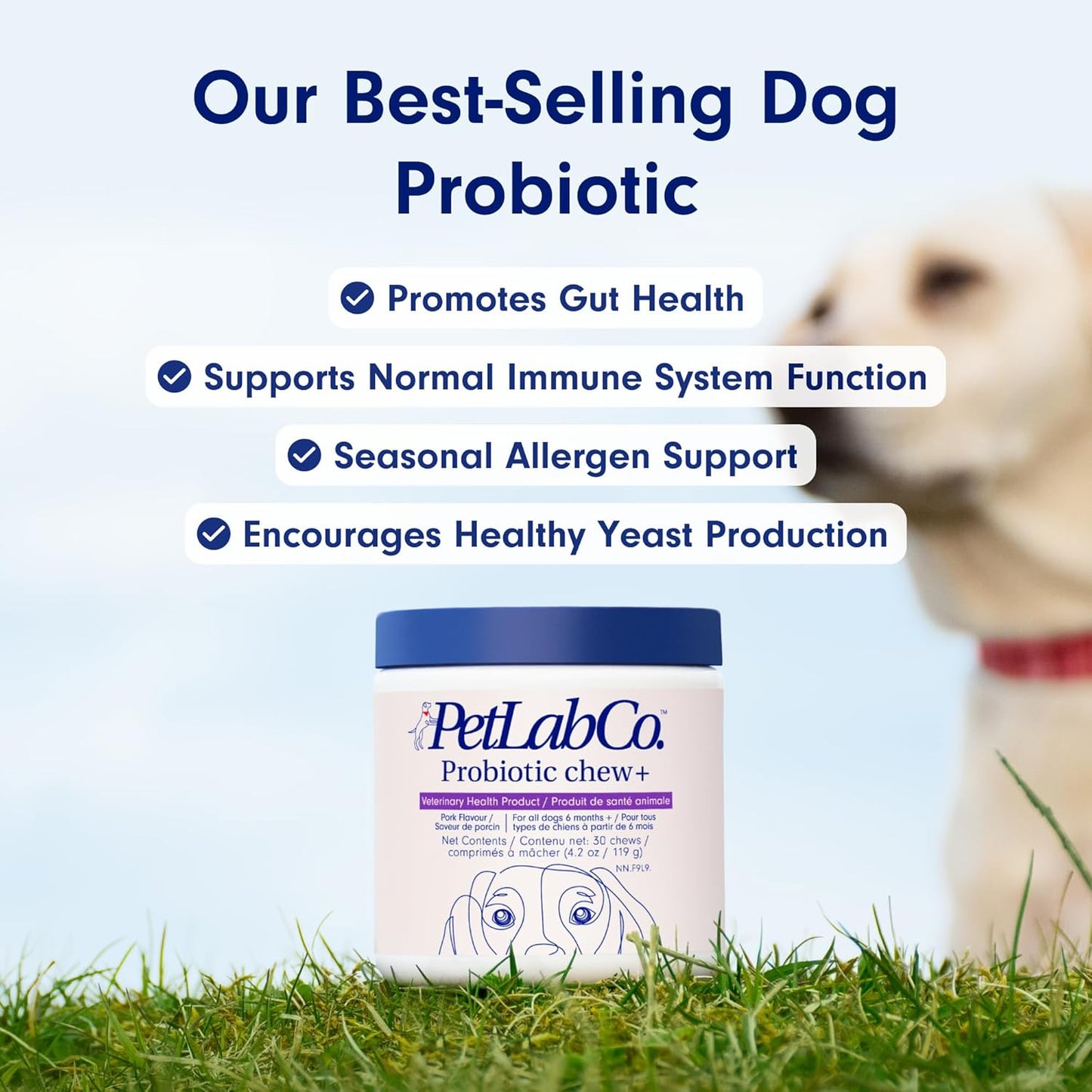 GutGuard Probiotics for Dogs