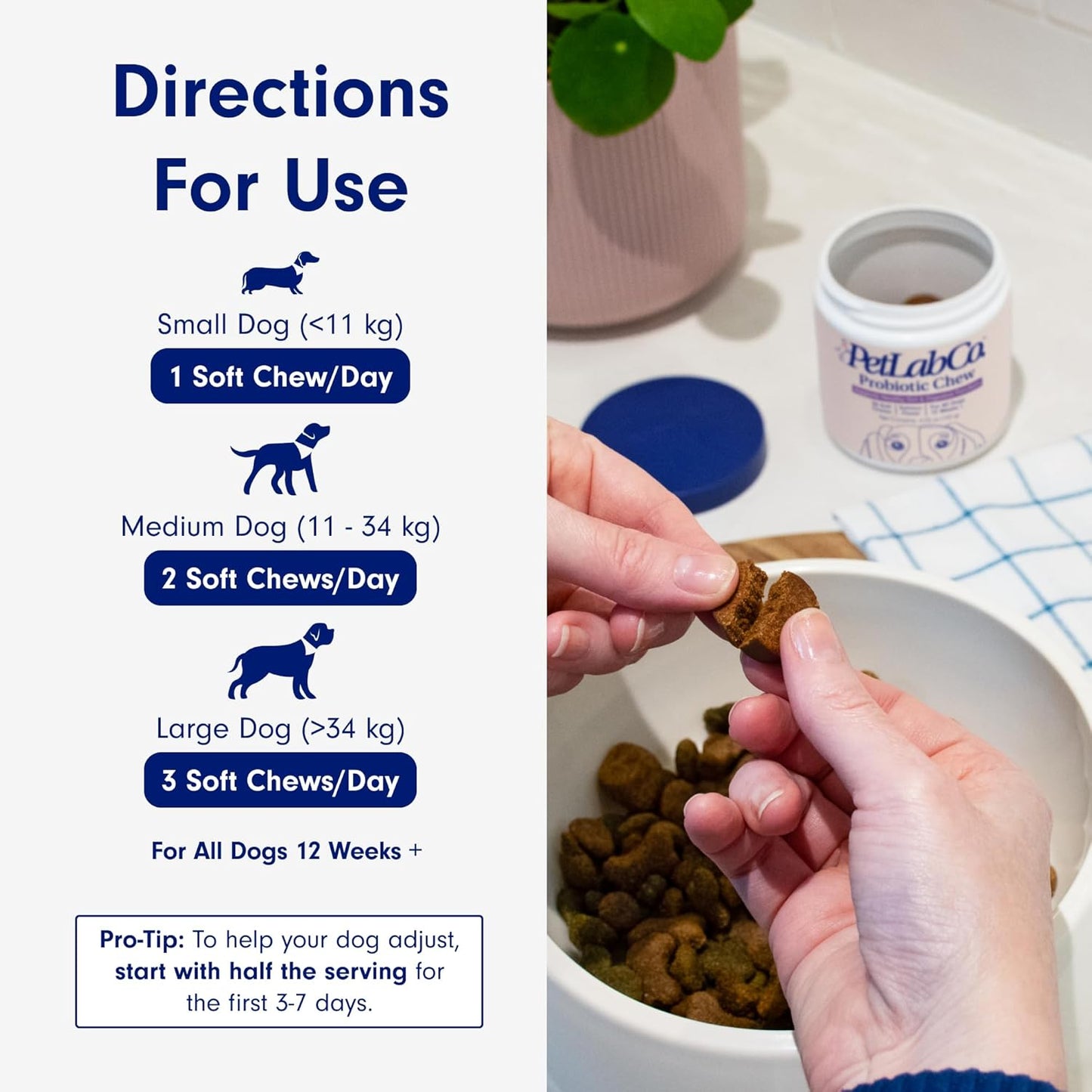 GutGuard Probiotics for Dogs