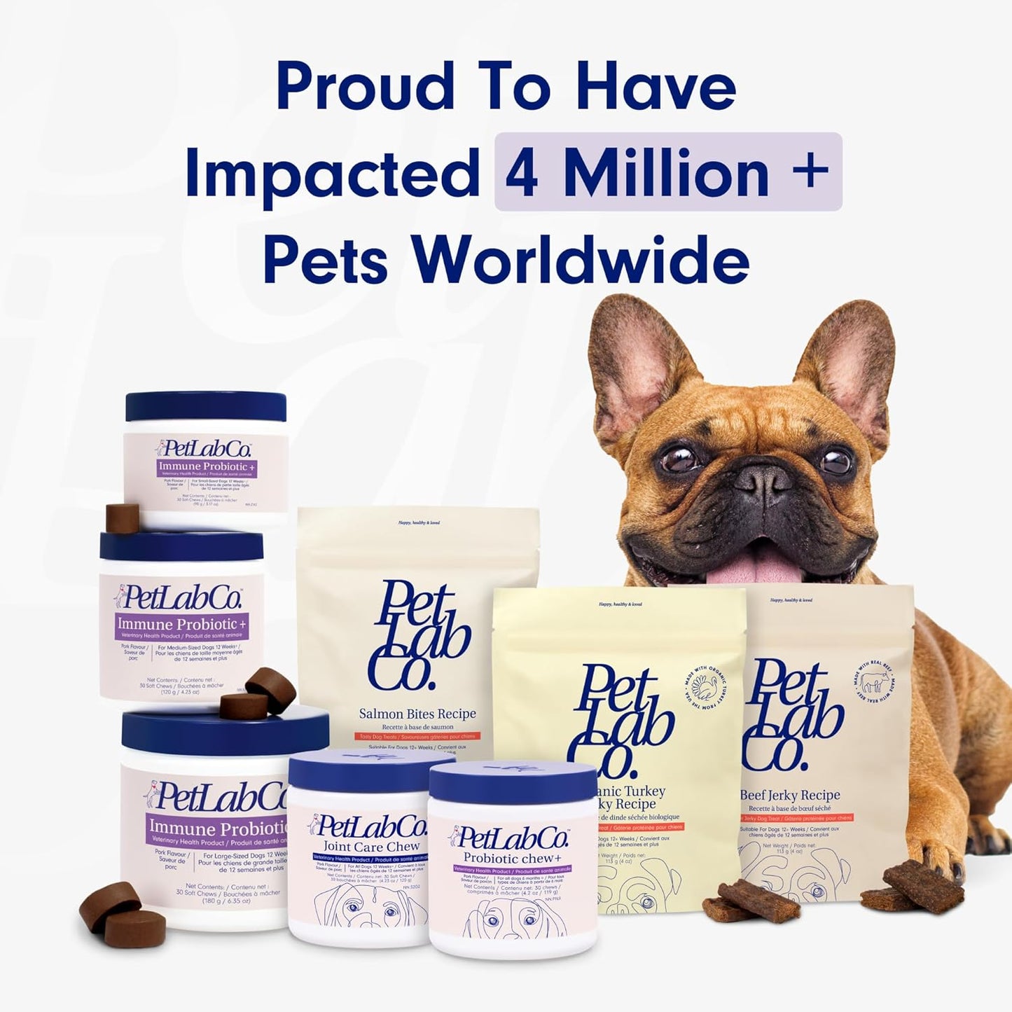 GutGuard Probiotics for Dogs