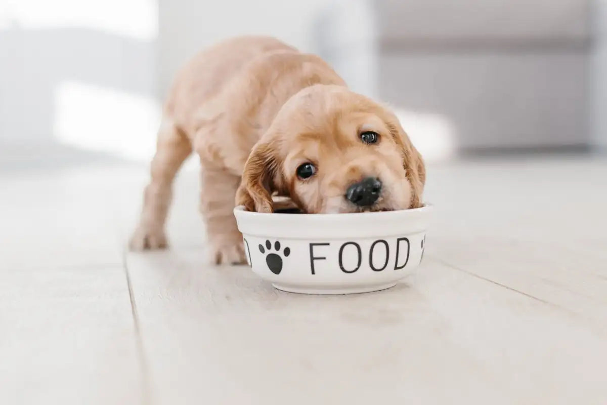 Eat
